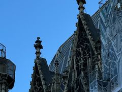 -斯蒂芬主教座堂(Stephansdom)