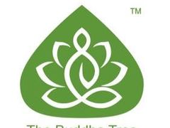 -菩提树·素食餐厅(汇智国际商业中心店)