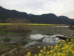 -新安江山水画廊风景区