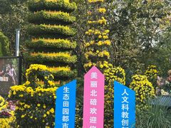 -南山植物园