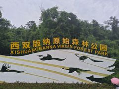 -西双版纳原始森林公园