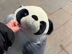 -沈阳森林动物园