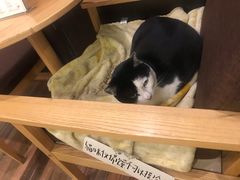 -猫的天空之城概念书店(杭州南宋御街店)