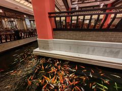 -龙悦湾酒家·八阵鱼生·渔人码头店