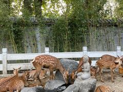 -北京野生动物园