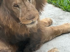 -齐齐哈尔龙沙动植物园