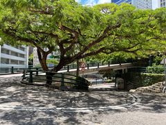 -香港大学