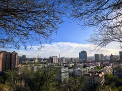 -鲤鱼山公园