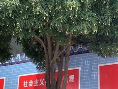 -海吉星市场