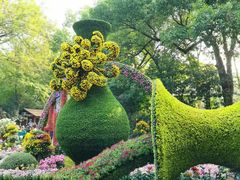-杭州植物园