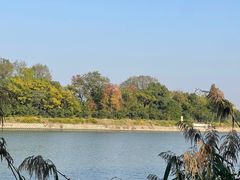 -梁鸿国家湿地公园