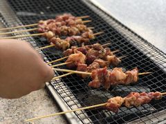 -吴淞炮台湾湿地森林公园烧烤区