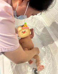 -大美母婴月子中心(吴中店)