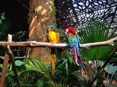 -杭州开元森泊度假乐园