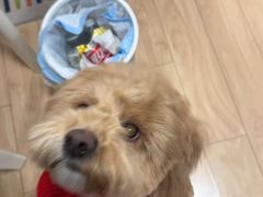 -乐琪宠物(青塔西路店)