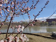 -南开大学(津南校区)