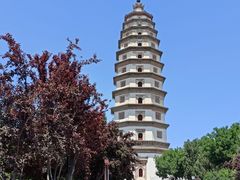 -开元寺塔