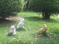 -广东花都香草世界旅游度假区