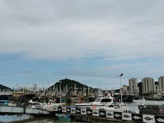 -沈家门渔港