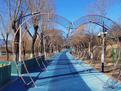 -青龙湖公园