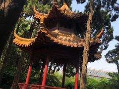 -嘉定紫藤园