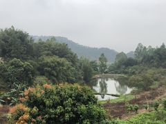 -天强农家菜馆