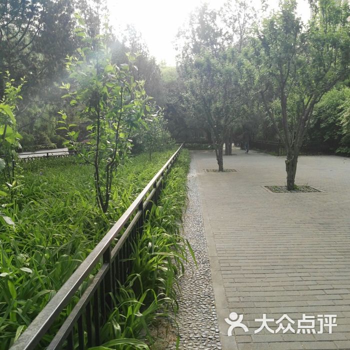 安贞社区街心公园
