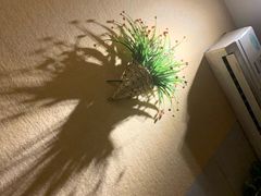 -猴满足影院足道SPA(金钟路店)