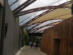 -怀托摩萤火虫洞