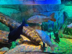 -沈阳海洋探索中心