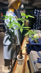 -BRANS PORO布朗斯伯勒西装高级定制·瑞璞西装(金陵店)