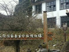 -云中大漈