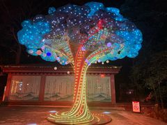 -杭州黄龙洞