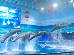 -多彩贵州城极地海洋世界