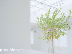 景观位-UP ON AIR