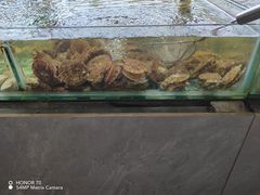 -四海蒸鲜蒸汽海鲜自助(北戴河店)
