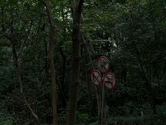 -上海佘山国家森林公园天马山园