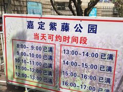 -嘉定紫藤园