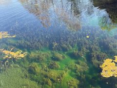 -沕沕水生态风景区