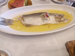 -聚鑫阁江浙菜·非遗传承技艺(青村帝华园店)