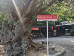 -飞霞风景名胜区