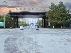 -黄海国家森林公园