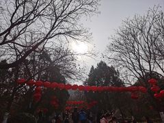 -千佛山风景名胜区