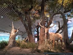 -中国湿地博物馆