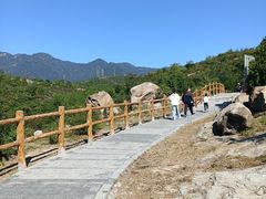 -白水寺森林公园