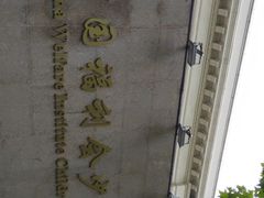 -中国福利会少年宫