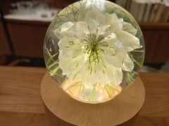 -二酉书店TOYOU BOOKS