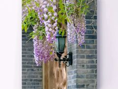 -三忘湖 SWANSEEN(柳荫公园店)