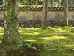 -西芳寺(苔寺)