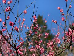 -湖南嵩云山国家森林公园